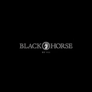BLACK HORSE BY 911 東京/六本木